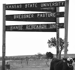 Bressner sign